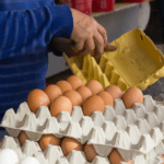 poultry farm near me